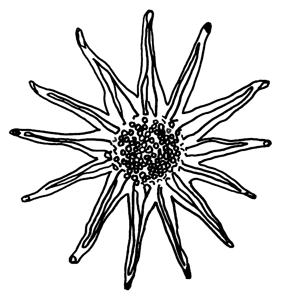 HELIOS logo 2_gennemsigtig